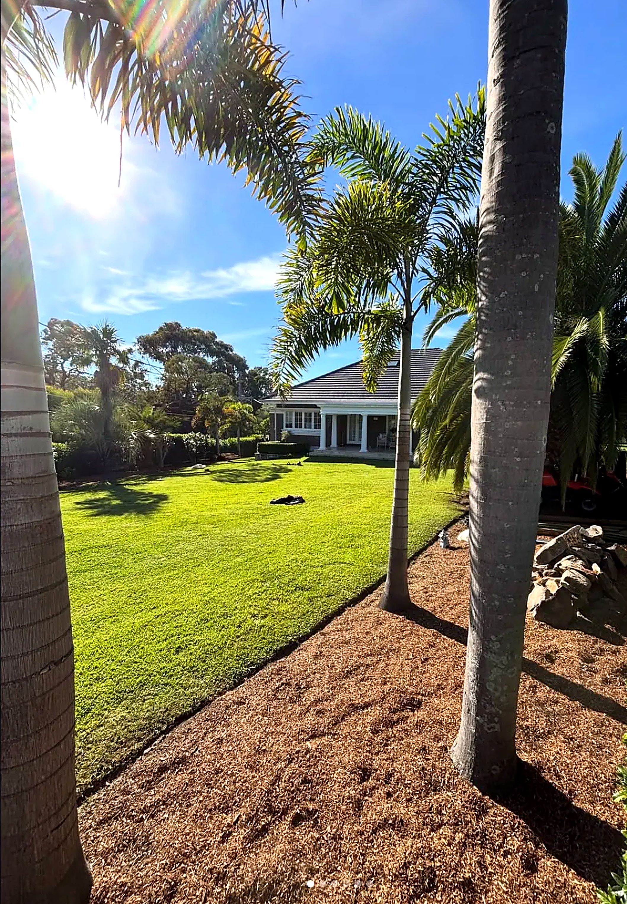 Broad green lawn framed by palms in front of a heritage home