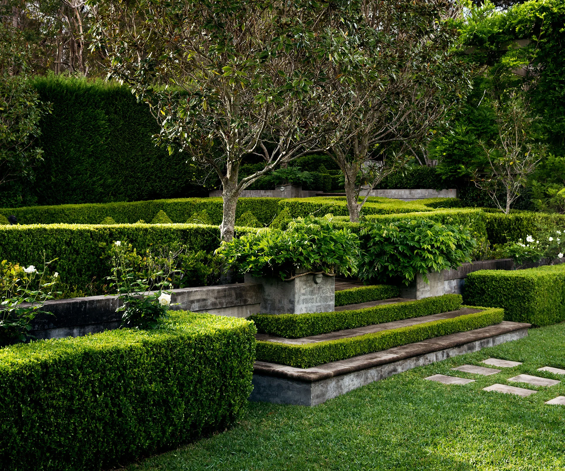 Formal terraced box hedging and stone steps in a manicured Sydney garden